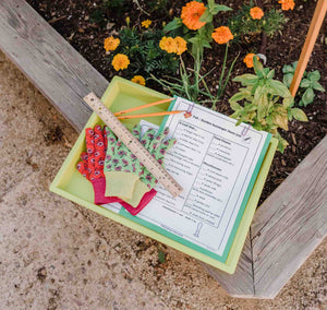 Kids Gardening Activities for Any Age